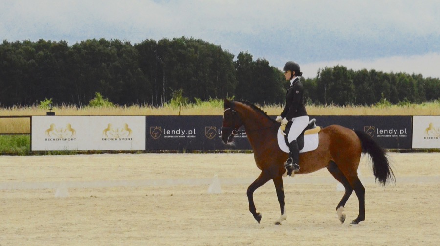 PZJ Odznaki jeździeckie, egzamin część praktyczna