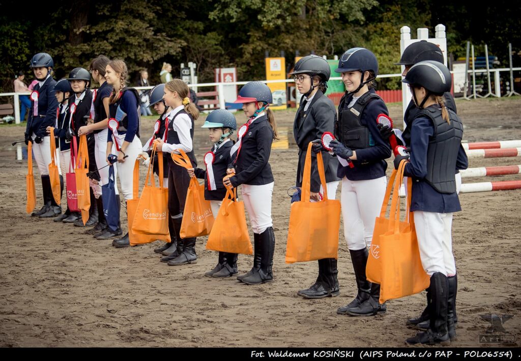 Polski Związek Jeździecki Odznaki konne