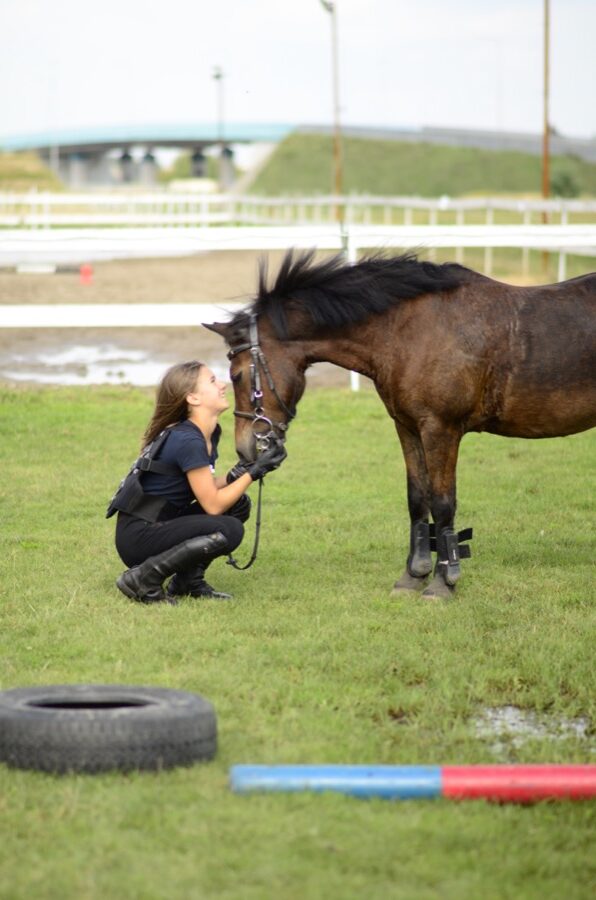 Egzamin na odznaki jeździeckie