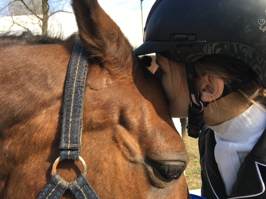 Egzamin na odznaki jeździeckie
